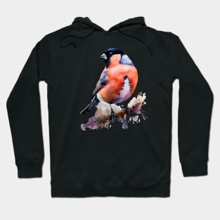 Bird Looking At The Sky Hoodie